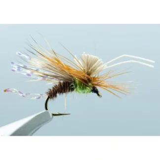 AC Caddis Pheasant Tail #14 - Your Premium Fishing Gear Store Rods Lines Baits Accessories^ Sale