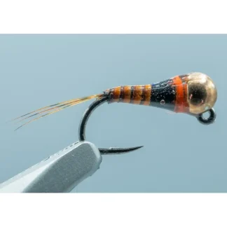 Barbless Spanish Bullet Brown Quill (Hot Collar) #18 2.8mm - Your Premium Fishing Gear Store Rods Lines Baits Accessories^ Cheap