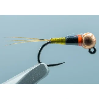 Barbless Spanish Bullet Olive (Hot Collar) #18 2.8mm - Your Premium Fishing Gear Store Rods Lines Baits Accessories^ Shop