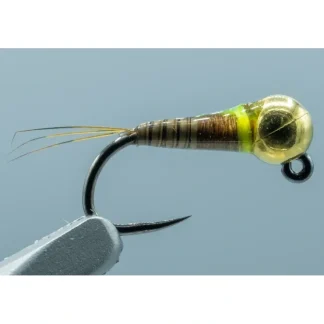 Barbless Spanish Bullet PMD Quill #18 2.8mm - Your Premium Fishing Gear Store Rods Lines Baits Accessories^ Cheap