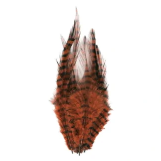 Barred Saddle Hackle - Your Premium Fishing Gear Store Rods Lines Baits Accessories^ Discount