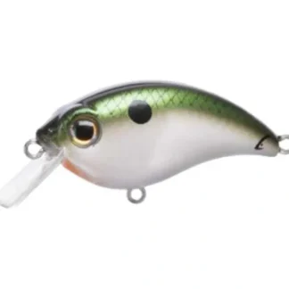 Bill Lewis ATV Squarebill Crankbaits - Your Premium Fishing Gear Store Rods Lines Baits Accessories^ New