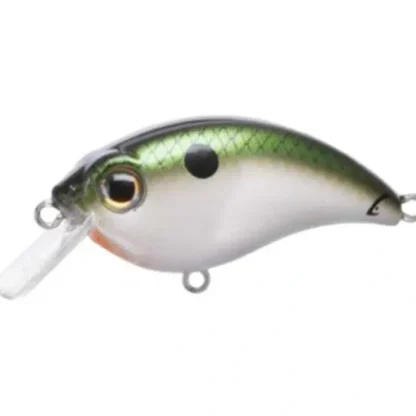 Bill Lewis ATV Squarebill Crankbaits - Your Premium Fishing Gear Store Rods Lines Baits Accessories^ New