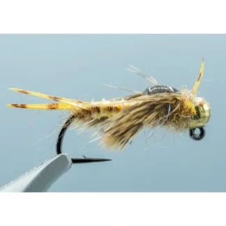 Biot Epoxy Golden Stone #8 - Your Premium Fishing Gear Store Rods Lines Baits Accessories^ Cheap