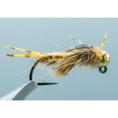 Biot Epoxy Golden Stone #8 - Your Premium Fishing Gear Store Rods Lines Baits Accessories^ Cheap