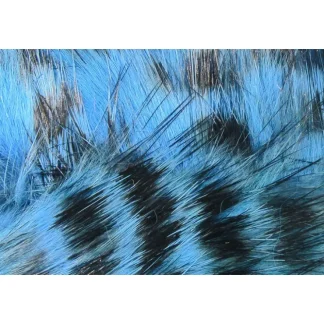 Black Barred Rabbit Strips - Your Premium Fishing Gear Store Rods Lines Baits Accessories^ Best