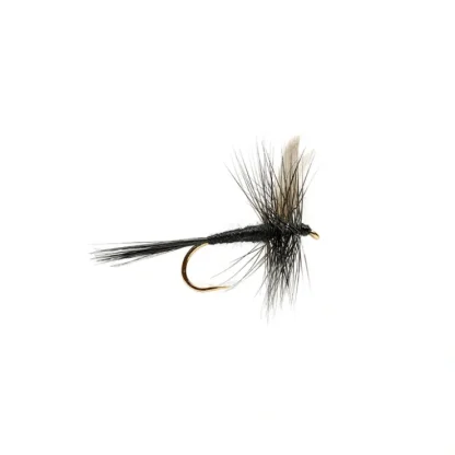 Black Gnat - Your Premium Fishing Gear Store Rods Lines Baits Accessories^ New