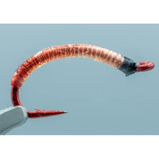Bloodworm Red #08 - Your Premium Fishing Gear Store Rods Lines Baits Accessories^ Best Sale