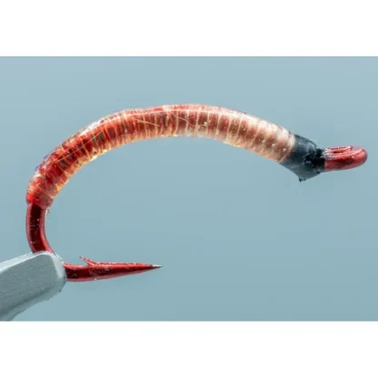 Bloodworm Red #08 - Your Premium Fishing Gear Store Rods Lines Baits Accessories^ Best Sale