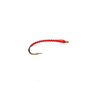 Boroffs Anneworm Orange - Your Premium Fishing Gear Store Rods Lines Baits Accessories^ Fashion