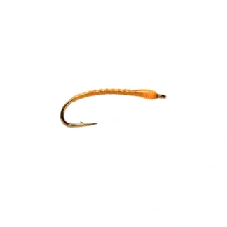 Boroffs Anneworm Sunburst - Your Premium Fishing Gear Store Rods Lines Baits Accessories^ Store