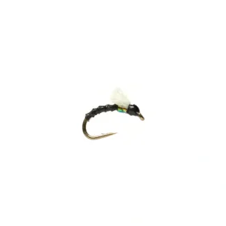 Boroffs Foamie Homie Black - Your Premium Fishing Gear Store Rods Lines Baits Accessories^ Clearance