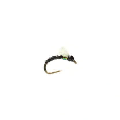 Boroffs Foamie Homie Black - Your Premium Fishing Gear Store Rods Lines Baits Accessories^ Clearance