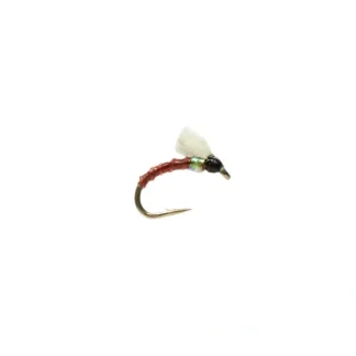 Boroffs Foamie Homie Brown - Your Premium Fishing Gear Store Rods Lines Baits Accessories^ Flash Sale