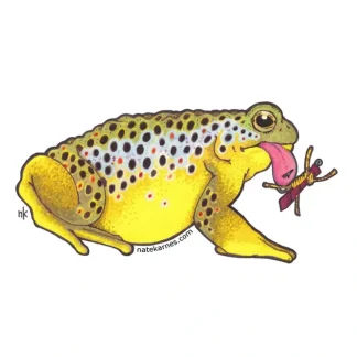 Brown Trout Toad Sticker - Your Premium Fishing Gear Store Rods Lines Baits Accessories^ Cheap