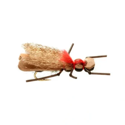 Burkus Bear Back Rider Okay - Your Premium Fishing Gear Store Rods Lines Baits Accessories^ Hot