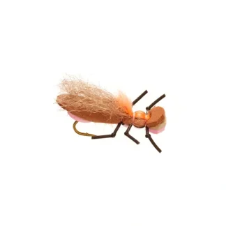 Burkus Bearback Rider Pink - Your Premium Fishing Gear Store Rods Lines Baits Accessories^ Hot