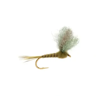 Burkus' Flavilinea Dun - Your Premium Fishing Gear Store Rods Lines Baits Accessories^ Cheap