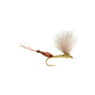 Burkus Riffle Robber Pale Olive - Your Premium Fishing Gear Store Rods Lines Baits Accessories^ Cheap