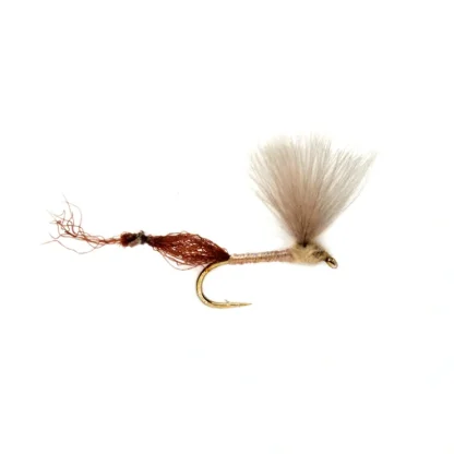 Burkus Riffle Robber Pink Lady - Your Premium Fishing Gear Store Rods Lines Baits Accessories^ Sale