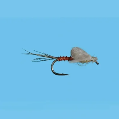 Captive Dun PMD - Your Premium Fishing Gear Store Rods Lines Baits Accessories^ Online
