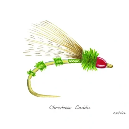 Caroline Price Art - Christmas Caddis 5 Pack w/ Envelops - Your Premium Fishing Gear Store Rods Lines Baits Accessories^ Discount