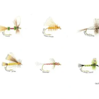 Caroline Price Art 6 Flies 10" x 14" Board w/ Mat - Your Premium Fishing Gear Store Rods Lines Baits Accessories^ Cheap