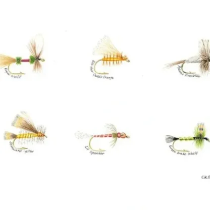 Caroline Price Art 6 Flies 10" x 14" Board w/ Mat - Your Premium Fishing Gear Store Rods Lines Baits Accessories^ Cheap