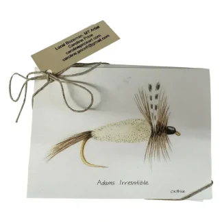 Caroline Price Art 10 Pack w/Envelopes - Your Premium Fishing Gear Store Rods Lines Baits Accessories^ Hot