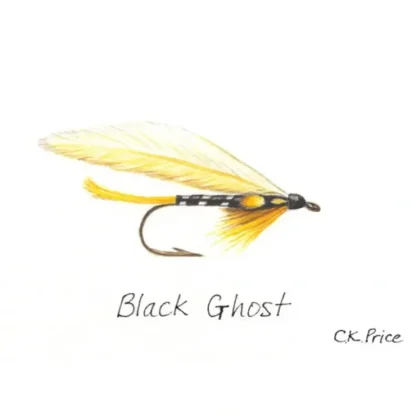 Caroline Price Art Black Ghost 10 Pack w/Envelopes - Your Premium Fishing Gear Store Rods Lines Baits Accessories^ Hot