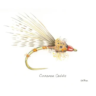 Caroline Price Art Cinnamon Caddis 10 Pack w/Envelopes - Your Premium Fishing Gear Store Rods Lines Baits Accessories^ Cheap