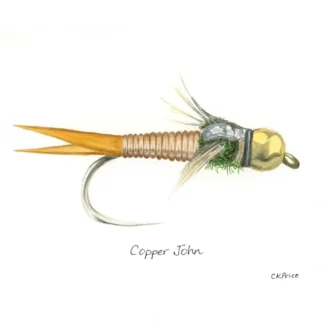 Caroline Price Art Copper John 10 Pack w/Envelopes - Your Premium Fishing Gear Store Rods Lines Baits Accessories^ Outlet