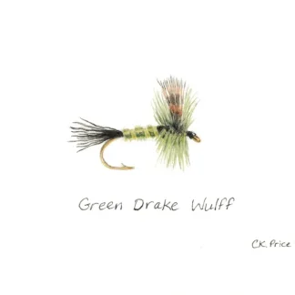 Caroline Price Art Green Drake Wulff Framed - Your Premium Fishing Gear Store Rods Lines Baits Accessories^ New