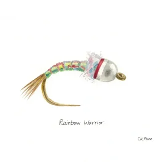 Caroline Price Art Rainbow Warrior 10 Pack w/Envelopes - Your Premium Fishing Gear Store Rods Lines Baits Accessories^ Cheap