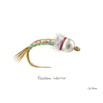 Caroline Price Art Rainbow Warrior 10 Pack w/Envelopes - Your Premium Fishing Gear Store Rods Lines Baits Accessories^ Cheap