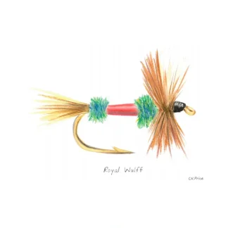 Caroline Price Art Royal Wulff 10 Pack w/Envelopes - Your Premium Fishing Gear Store Rods Lines Baits Accessories^ Online