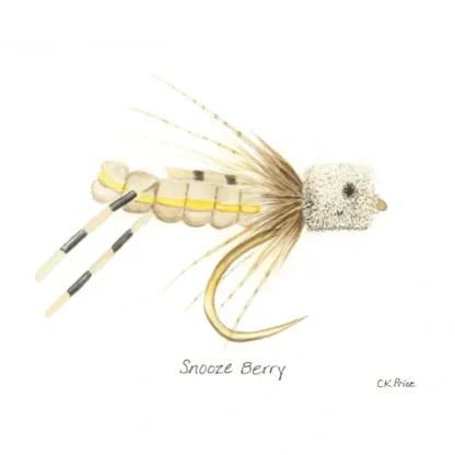 Caroline Price Art Snooze Berry 10 Pack w/Envelopes - Your Premium Fishing Gear Store Rods Lines Baits Accessories^ Sale