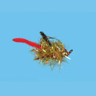 Carpilicious - Your Premium Fishing Gear Store Rods Lines Baits Accessories^ Shop