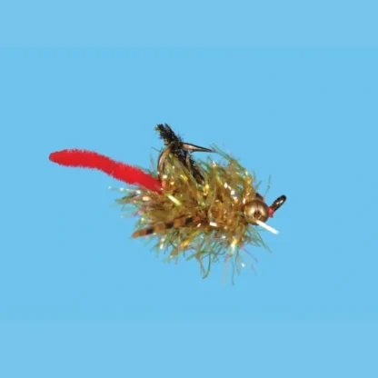 Carpilicious - Your Premium Fishing Gear Store Rods Lines Baits Accessories^ Shop