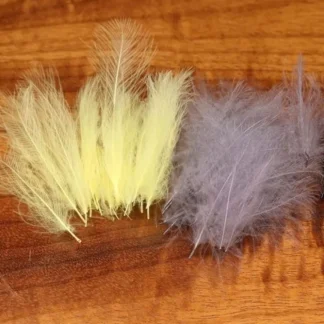 CDC - Your Premium Fishing Gear Store Rods Lines Baits Accessories^ Clearance