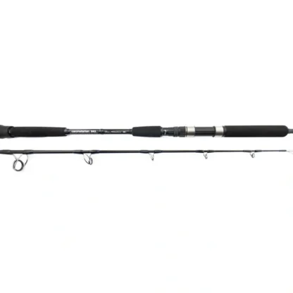 Centaur Constellation Tuna Adventurer 55S Spinning Jigging Rod 5'5" - Your Premium Fishing Gear Store Rods Lines Baits Accessories^ Shop