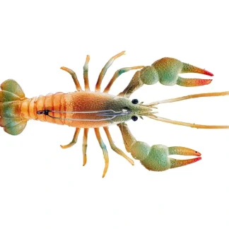 Chasebait Crawdad Mud Bug - Your Premium Fishing Gear Store Rods Lines Baits Accessories^ Best Sale