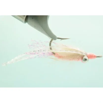 Chicone Bone Appetite - Your Premium Fishing Gear Store Rods Lines Baits Accessories^ New