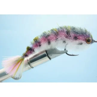 Chocklett's Finesse Changer Rainbow Trout - Your Premium Fishing Gear Store Rods Lines Baits Accessories^ Flash Sale