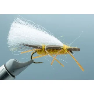 Chubby Chernobyl - Orange - Your Premium Fishing Gear Store Rods Lines Baits Accessories^ Best