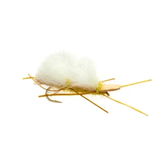 Chubby Golden - Your Premium Fishing Gear Store Rods Lines Baits Accessories^ Shop