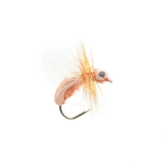 Cinnamon Toast Ant - Your Premium Fishing Gear Store Rods Lines Baits Accessories^ Best