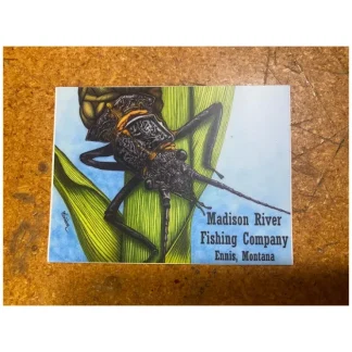 Conner Art Studio Logo Stonefly Sticker - Your Premium Fishing Gear Store Rods Lines Baits Accessories^ Outlet