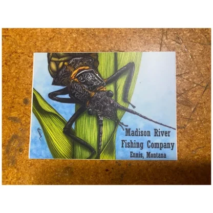Conner Art Studio Logo Stonefly Sticker - Your Premium Fishing Gear Store Rods Lines Baits Accessories^ Outlet