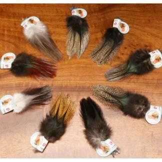 Coq De Leon - Your Premium Fishing Gear Store Rods Lines Baits Accessories^ Best